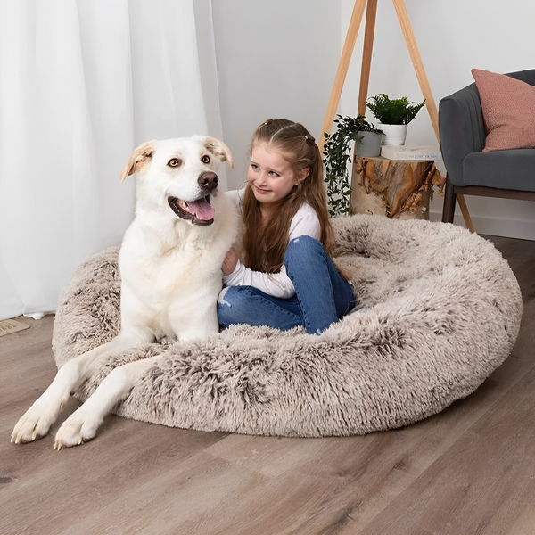 Human Sized Dog Bed